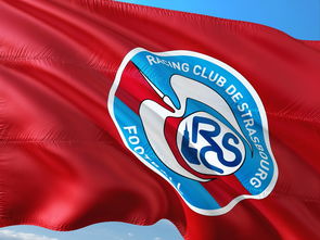 开云官方-荷兰队在欧洲预赛中继续保持领先优势